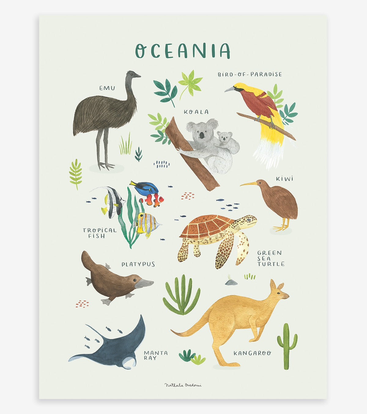 LIVING EARTH - Cartaz para crianças - Animais da Oceânia