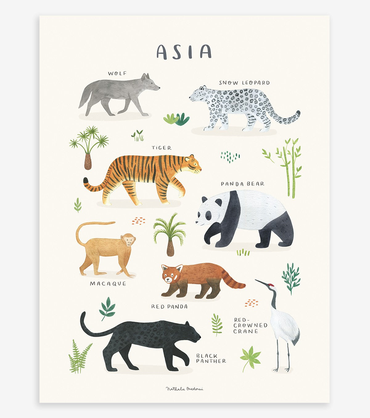 LIVING EARTH - Cartaz para crianças - Animais asiáticos
