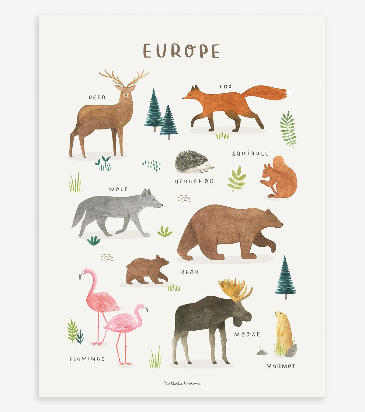 LIVING EARTH - Cartaz para crianças - Animais da Europa