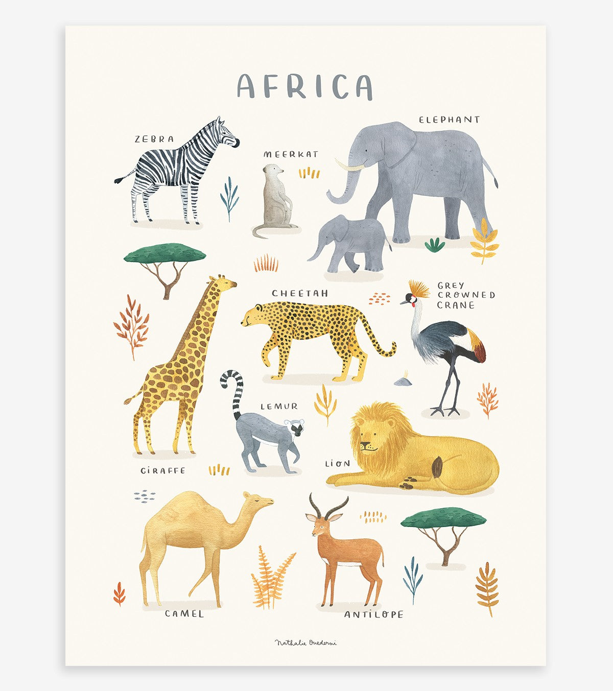 LIVING EARTH - Cartaz para crianças - Animais africanos
