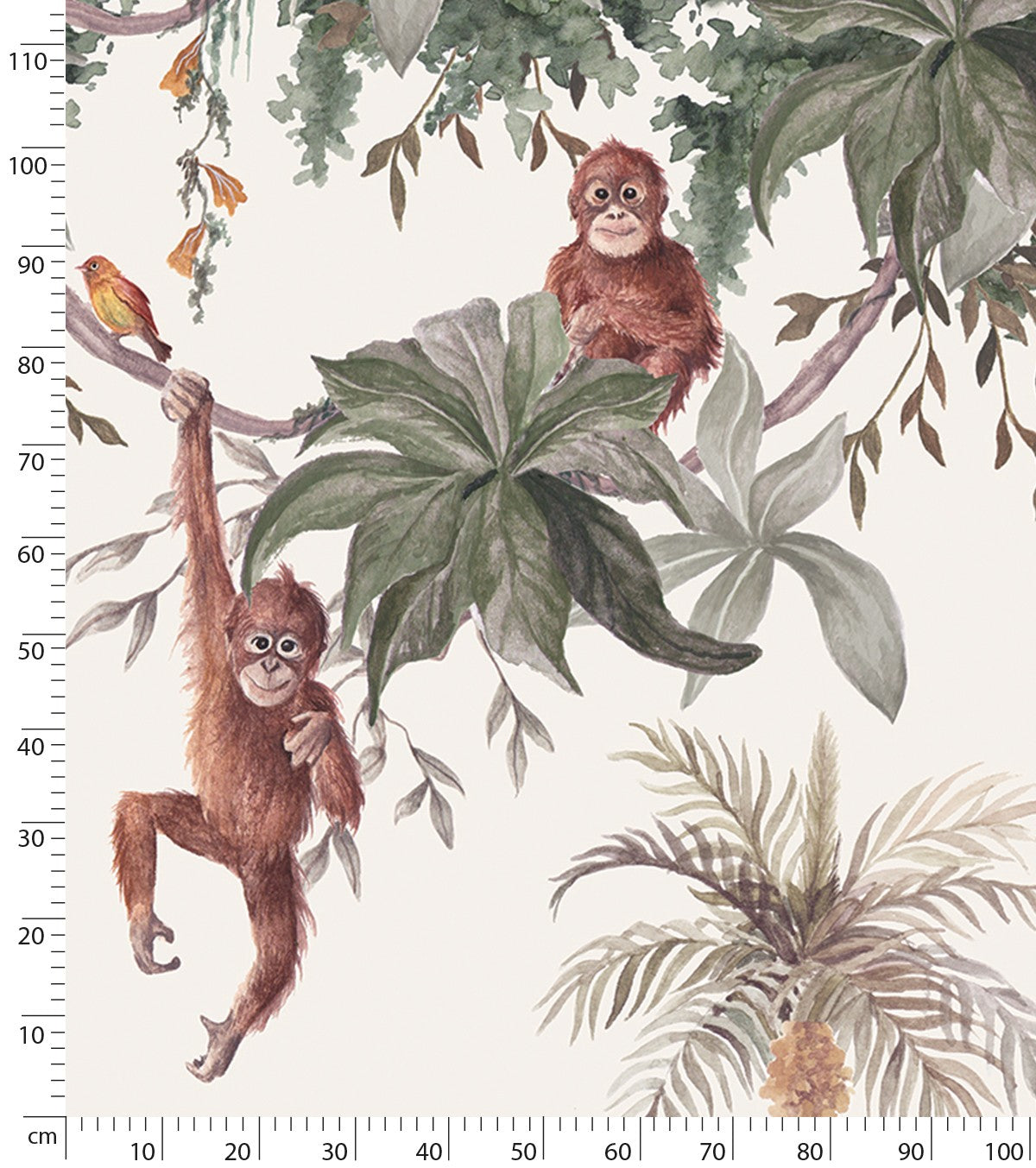 UTAN - Papel de parede panorâmico - Os macacos
